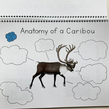 Load image into Gallery viewer, Discovering Caribou: A Nature Study Curriculum