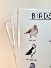 Load image into Gallery viewer, Birds of Alaska Watercolor Art Print