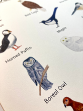 Load image into Gallery viewer, Birds of Alaska Watercolor Art Print