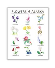Load image into Gallery viewer, Flowers of Alaska Watercolor Art Print