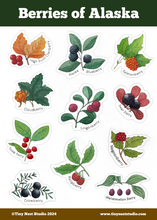 Load image into Gallery viewer, Berries of Alaska Sticker Sheet