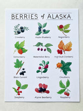 Load image into Gallery viewer, Berries of Alaska Watercolor Art Print