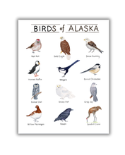 Load image into Gallery viewer, Birds of Alaska Watercolor Art Print