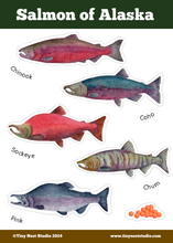 Load image into Gallery viewer, Salmon of Alaska Sticker Sheet