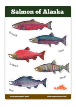 Load image into Gallery viewer, Salmon of Alaska Sticker Sheet