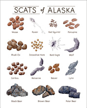 Load image into Gallery viewer, Scats of Alaska Art Print