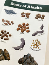 Load image into Gallery viewer, Scats of Alaska Sticker Sheet