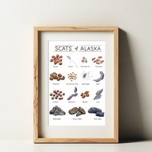 Load image into Gallery viewer, Scats of Alaska illustrated art print in a neutral wooden frame. Moose to blear represented.