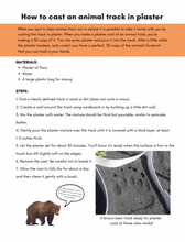 Load image into Gallery viewer, Discovering Alaska's Scats and Tracks: A Nature Study Unit