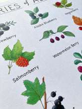 Load image into Gallery viewer, Berries of Alaska Watercolor Art Print