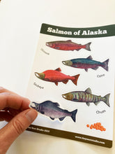 Load image into Gallery viewer, Salmon of Alaska Sticker Sheet