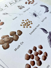 Load image into Gallery viewer, Scats of Alaska Art Print