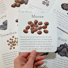 Load image into Gallery viewer, Scats of Alaska Learning Cards