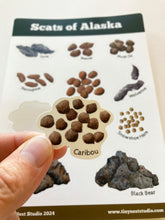 Load image into Gallery viewer, Scats of Alaska Sticker Sheet