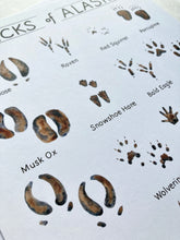 Load image into Gallery viewer, Tracks of Alaska Art Print