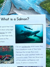 Load image into Gallery viewer, Discovering Salmon: A Nature Study Curriculum