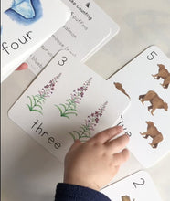 Load and play video in Gallery viewer, Alaska Counting Cards