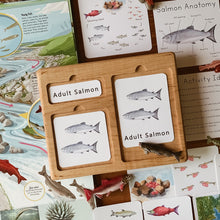 Load image into Gallery viewer, Salmon Life Cycle Digital Learning Unit