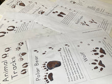 Load image into Gallery viewer, Alaska Animal Tracks Learning Cards: Digital Download