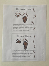 Load image into Gallery viewer, Alaska Animal Tracks Learning Cards: Digital Download
