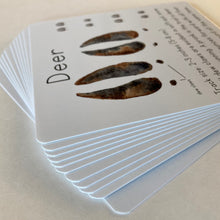 Load image into Gallery viewer, Animal Track Learning Cards