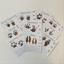 Load image into Gallery viewer, Animal Track Learning Cards