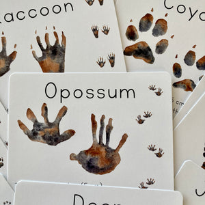 Animal Track Learning Cards