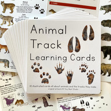 Load image into Gallery viewer, Animal Track Learning Cards