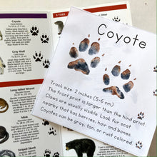 Load image into Gallery viewer, Animal Track Learning Cards: Digital Download