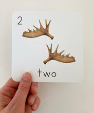 Load image into Gallery viewer, Alaska Counting Cards
