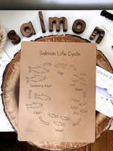 Load image into Gallery viewer, Salmon Life Cycle Digital Learning Unit
