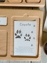 Load image into Gallery viewer, Animal Track Learning Cards: Digital Download