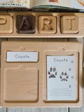 Load image into Gallery viewer, Animal Track Learning Cards: Digital Download