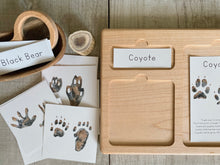 Load image into Gallery viewer, Animal Track Learning Cards: Digital Download