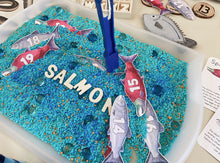 Load image into Gallery viewer, Salmon Life Cycle Digital Learning Unit