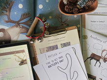 Load image into Gallery viewer, Reindeer Digital Bundle
