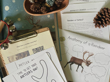 Load image into Gallery viewer, Reindeer Digital Bundle