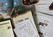 Load image into Gallery viewer, Reindeer Digital Bundle