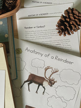 Load image into Gallery viewer, Reindeer Digital Bundle