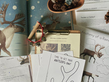Load image into Gallery viewer, Reindeer Digital Bundle