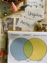 Load image into Gallery viewer, Reindeer Digital Bundle
