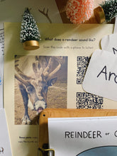 Load image into Gallery viewer, Reindeer Digital Bundle