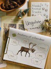 Load image into Gallery viewer, Reindeer Digital Bundle