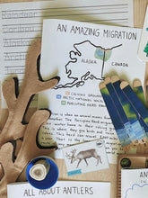 Load image into Gallery viewer, Reindeer Digital Bundle