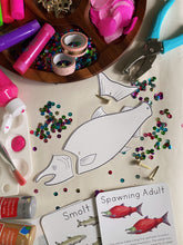 Load image into Gallery viewer, Salmon Life Cycle Digital Learning Unit