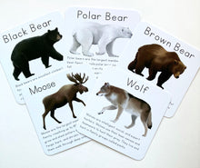 Load image into Gallery viewer, Alaska Animal Learning Cards