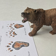 Load image into Gallery viewer, Animal Tracks of Alaska Mini-Poster: Digital Download