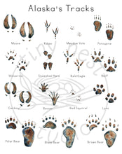 Load image into Gallery viewer, Animal Tracks of Alaska Mini-Poster: Digital Download