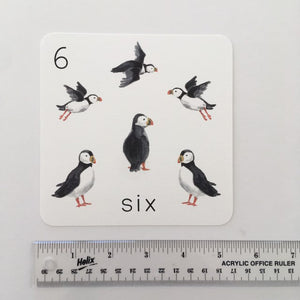 Alaska Counting Cards: Digital Download