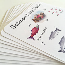 Load image into Gallery viewer, Salmon Life Cycle Learning Cards